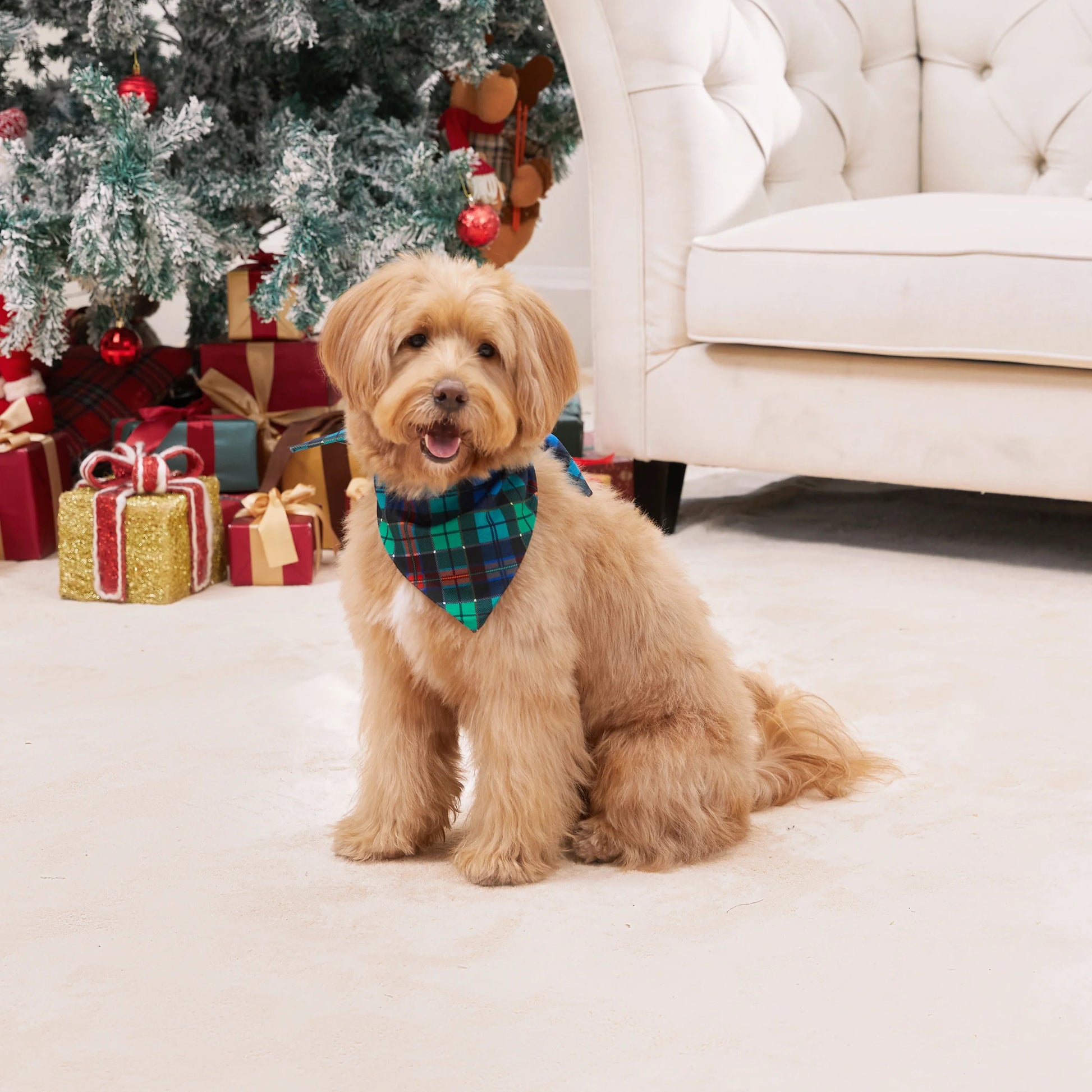 Christmas Pajamas Family Matching Pajamas Christmas Gift Pj Sets for Pet, White/Green, Pet
